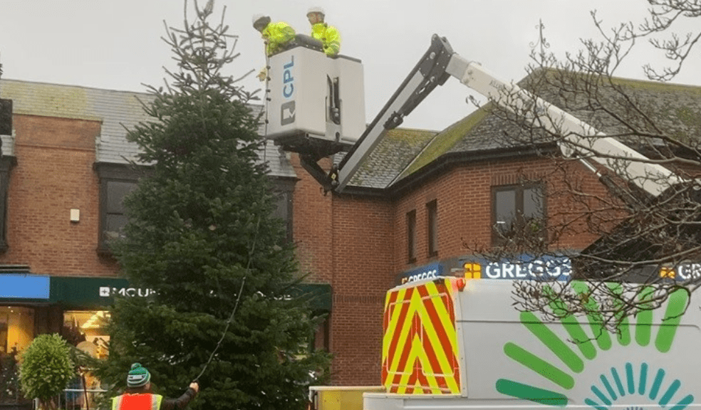Jurassic Fibre saves the day for historic Exmouth Christmas tree The